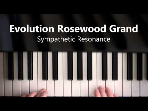 Evolution Rosewood Grand - Sympathetic Resonance