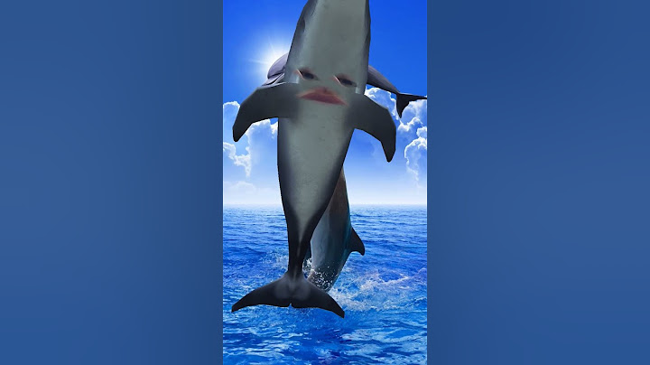 Jab Dolphins tricks me Hui Gadbad #Dolphins @RSMSA