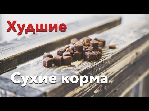 Видео: Советы по поиску корма для кошек с чувствительным желудком