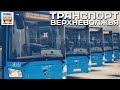 "Транспорт в России". "Транспорт Верхневолжья". Новые автобусы Твери | New buses in Tver