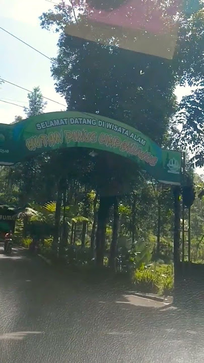 Jalur Wisata Alam Baturraden #video #viral #wisata #alam #baturraden #gunung #gunungslamet