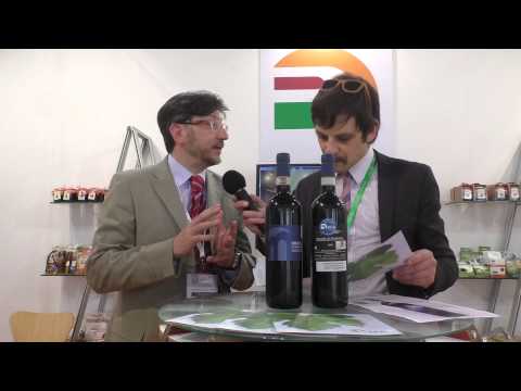 Video: Care este principalul export alimentar al Italiei?