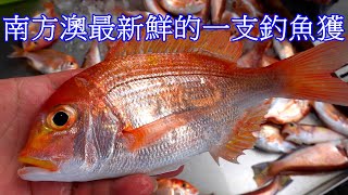 南方澳最新鮮一支釣魚獲進港囉 2024