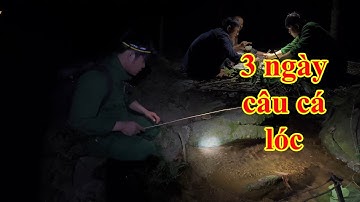Đêm ở hồ nhấp cá trên mương nhỏ (chuyến câu cá lóc 3 ngày)| 3-day snakehead fishing trip