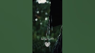 سورة البروج الاية [17-22] حسين سالم #اكسبلور #المصحف #جزء_عم