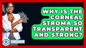 Why Is The Corneal Stroma So Transparent And Strong? - Optometry Knowledge Base