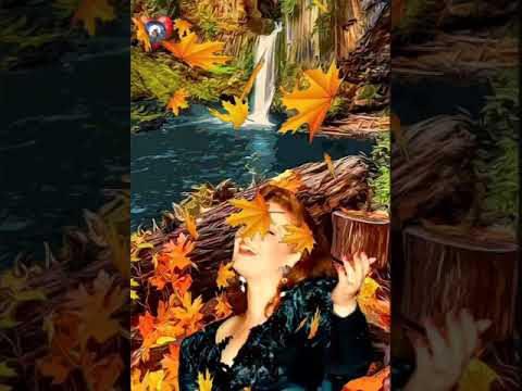 مياده الحناوي رقه انت رقه