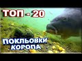 ТОП - 20 ПОКЛЬОВОК КОРОПА!!!