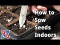 How to Sow Seeds Indoors - Indoor Gardening Tips | DoMyOwn.com
