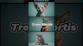 Treja Mortis 🎧6090 BPM🎧 Season Of Dying