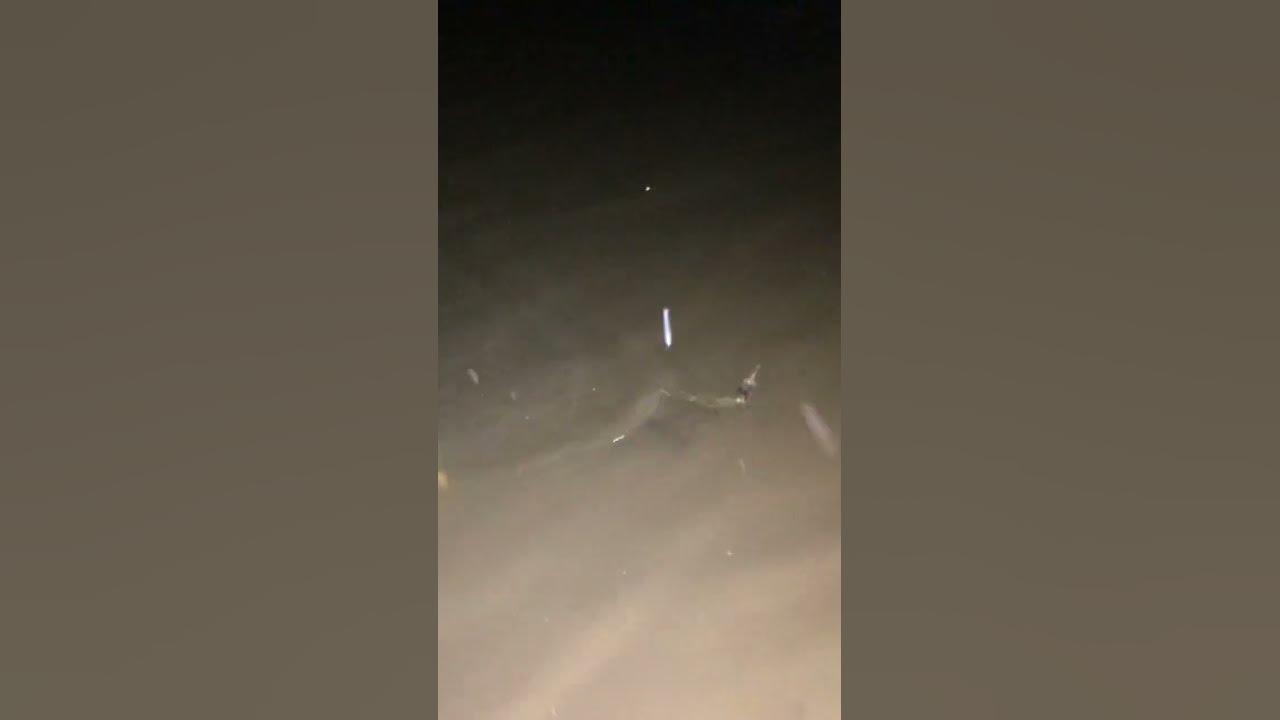 ПОЙМАЛИ на ДОНКУ проверка НОЧНЫХ ДОНОК - YouTube