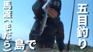 馬渡島（まだら島）で五目釣り！【釣りよかでしょう】