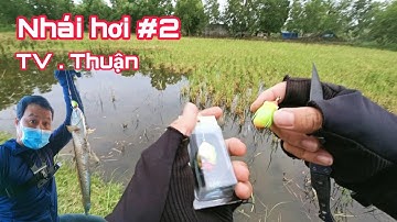 Câu Cá Lóc Lure Cá Lóc Bằng Nhái Hơi P2. Test Nhái Hơi VT Thuận.Một  Đường 2 Con Táp | Đại Ngáo Vlog