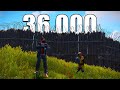 The 36000 hours duo that never loses in rust