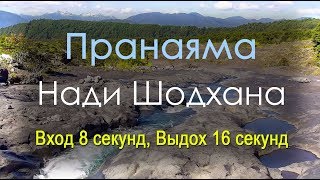 Нади Шодхана Пранаяма - Вход 8 секунд Выдох 16 секунд (на природе)