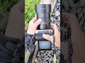 白の静けさに浮かぶ、二輪の赤を美しく描く|Hasselblad 907X & CFV 100C