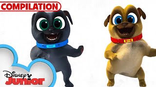 Every Happy Booty Dance Music Video! | Puppy Dog Pals | Compilation | @disneyjunior