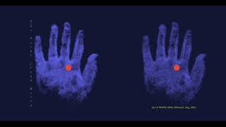 The Point Cloud World - 3D Reconstruction of Nhi's Hand