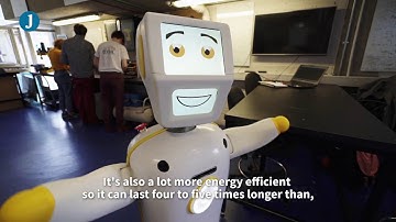 Meet Stevie II - Ireland