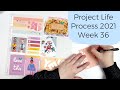 Project Life Process 2021- Week 36