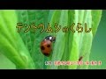 全国こども科学映像祭受賞作品　(95)H28年度第15回優秀作品賞小学生部門『テントウムシのくらし』