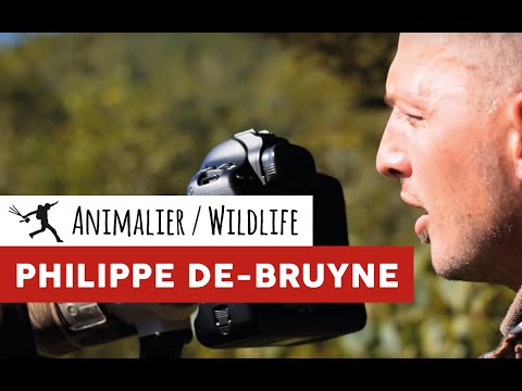 J&#039;Irai Shooter Avec Philippe De-Bruyne - Photographe animalier - S02E01