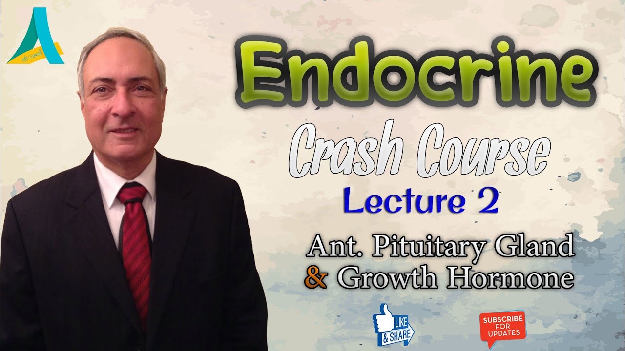 Dr.Nagi - Endocrine REVISION (2) - Anterior Pituitary gland & GH