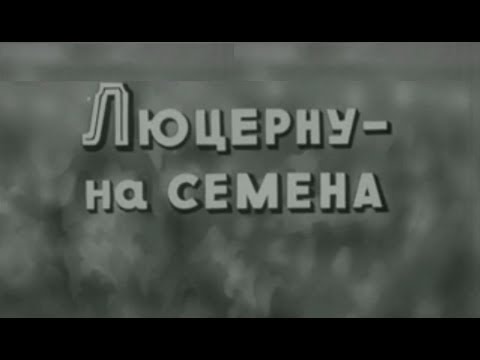 Видео: Люцерны хөгжим ба салют наадамд хэрхэн хүрэх вэ