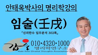 임술(壬戌)일주분석 -(신의한수 일주분석)-갑술명리학-안태옥박사의 팔자강의