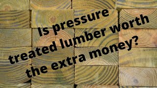 Is pressure treated lumber worth the extra cost?