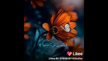 القرآن الكريم هو جنة، هو رفعة ، هو هداية، هو سبيل إسعاد ودربُ أمان❤️