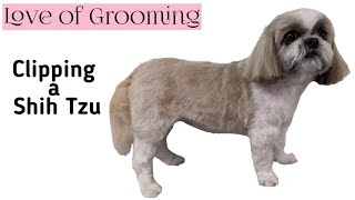 How to clip a shih tzu one length all over screenshot 5