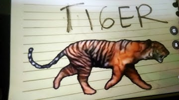 Augmented Reality using HP Reveal app