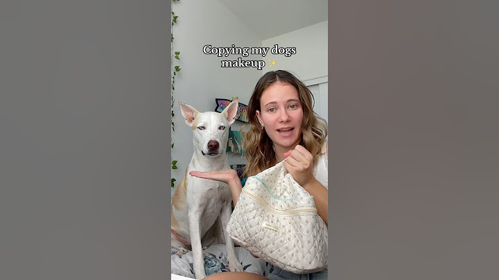 Doing my dogs makeup routine on me😳😂 #dog #doglover #dogmom #pets #petowner #dogshorts #makeup