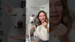 Doing my dogs makeup routine on me #dog #doglover #dogmom #pets #petowner #dogshorts #makeup