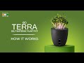 Pot de plantes  arrosage automatique eo avec micro graines vertes  eo terra