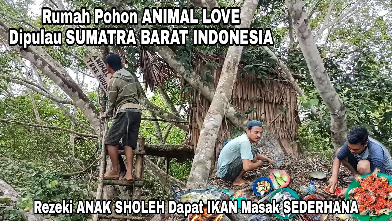 RUMAH POHON ANIMAL LOVE || MENIKMATI HASIL JARING - MASAK SEDERHANA SUMATRA INDONESIA