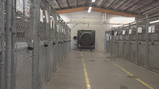 Animal advocates meet with Bell County Commissioner about animal shelter