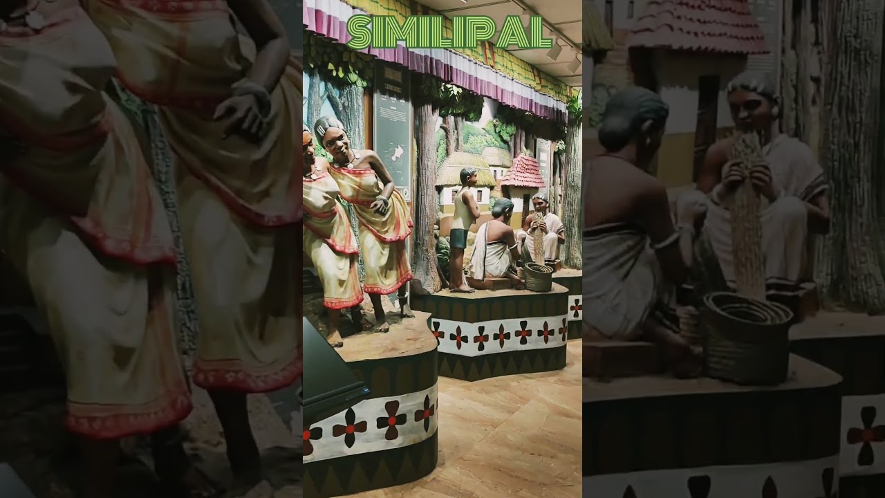 📍 SIMILIPAL Tribal information CENTRE