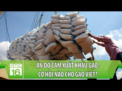 Sản Xuất Lương Thực Ở Nước Ta Hiện Nay - Ấn Độ cấm xuất khẩu gạo: Cơ hội nào cho GẠO VIỆT? | VTC16