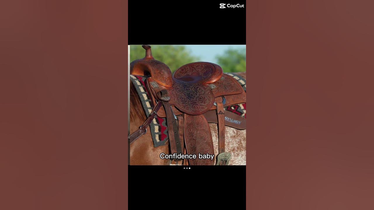 #horsebackriding #horselover