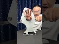 Magic teaching Arm restoration with a knife cut#Magic#Magic teaching#Magic Revealed