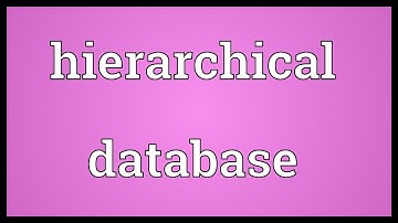 Hierarchical database Meaning