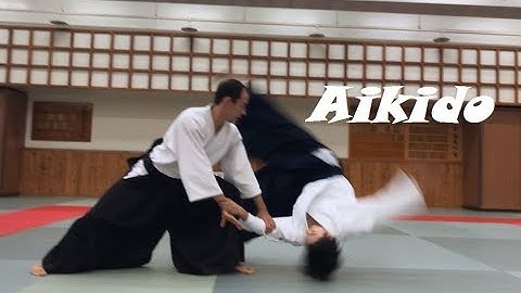 Working on Ukemi & Kokyu-ho - Taiwan International Aikido Seminar