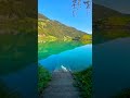 relaxing morning video #nature #river #tree #vibes #calm #beauty