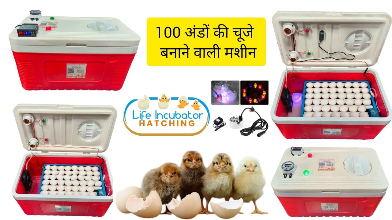 100 Eggs Fully Automatic Incubator 