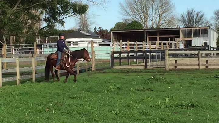 Rebecca Wylie & Wylie Kaiote 20.6.2016