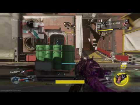 リスハメしてればFFAは勝てる  IW FFA Gameplay #40