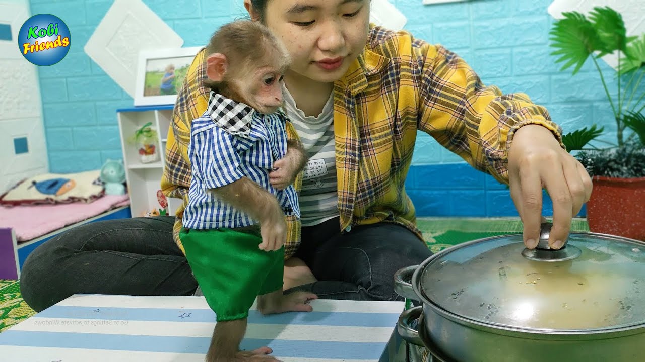 Cute Monkey Kobi helps mom steam pumpkin
