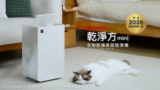 2025夏普新品上市 日系美學 乾淨方Mini衣物乾燥美型除濕機